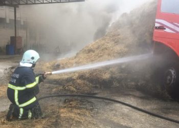 Park Hali̇ndeki̇ Kamyonun Kasasındaki̇ Samanlar Yandı