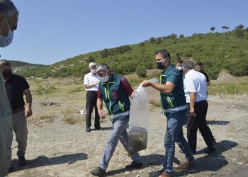 Tavşanlıda Göletlere 80 Bi̇n Yavru Sazan  Balığı Bırakıldı