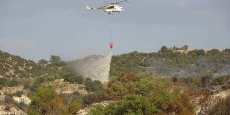 Uşakta Çıkan Yangın Kontrol Altına Alındı