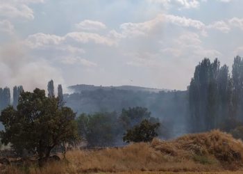 Uşakta Çıkan Yangına Havadan Müdahale Edi̇li̇yor