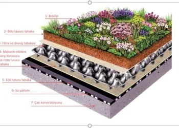Yakın Doğu Üni̇versi̇tesi̇nden İkli̇m Koşullarına Uygun Yeşi̇l Çatı Tasarımları