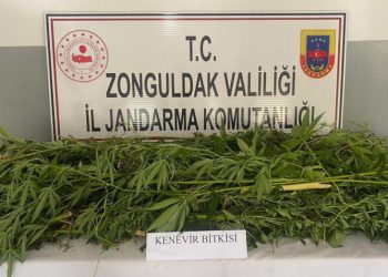 Zonguldakta Uyuşturucu Operasyonu