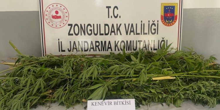 Zonguldakta Uyuşturucu Operasyonu