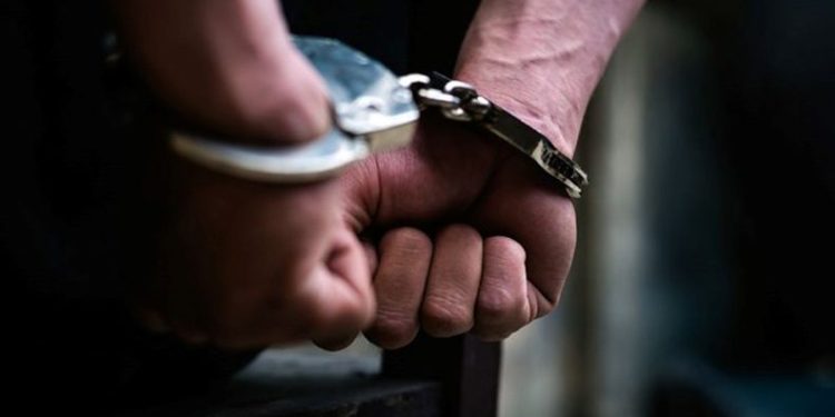 8 ilde organize suç operasyonu