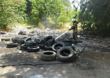 Bursa’da hurda demir için ağaçları yakıyorlardı
