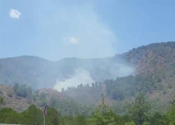 Muğla’da bir yangın daha!