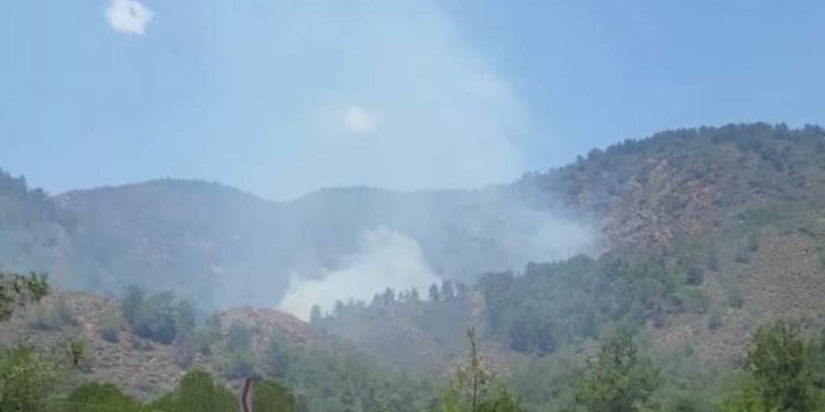 Muğla’da bir yangın daha!
