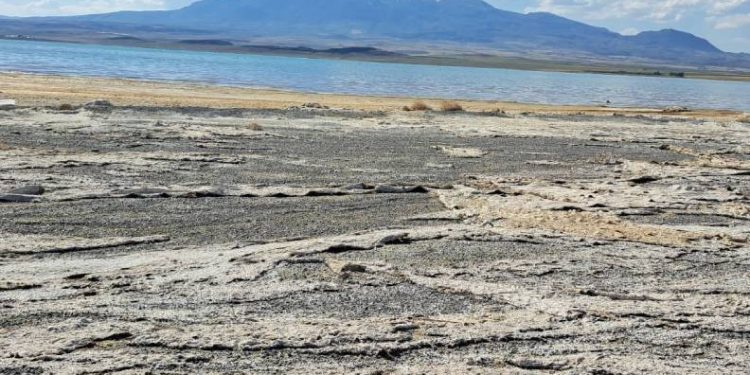 Kuş cenneti Arin Gölü yok oluyor