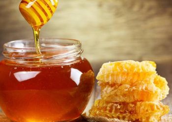 TAB: Teneke bal bin 800 TL olmalı