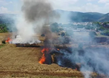 Bursa’da buğday tarlası alev alev yandı