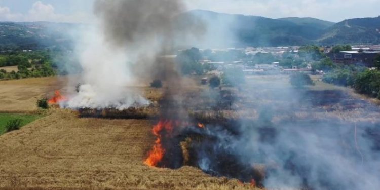 Bursa’da buğday tarlası alev alev yandı