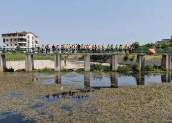 Nilüfer Çayı Meclis gündeminde