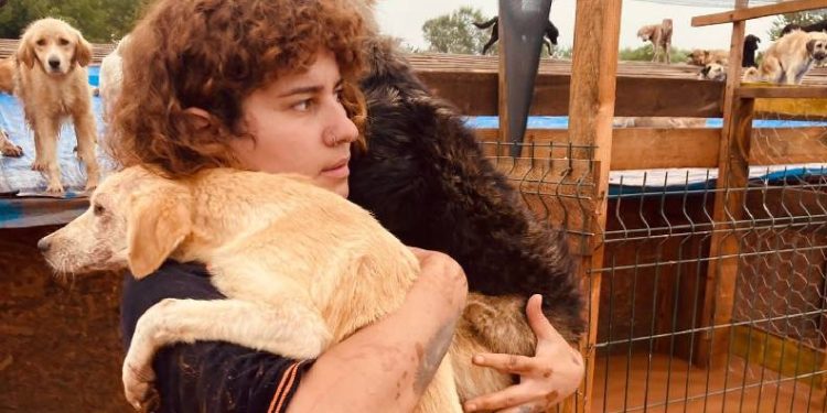 Barınakta mahsur kalan köpekler kurtarıldı