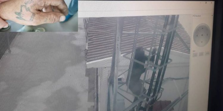 Elindeki dövme hırsızı ele verdi