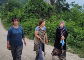 Mahallede ayı korkusu: “Evlerimizden çıkamıyoruz”