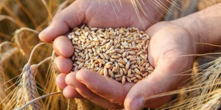 Hububat alım fiyatları güncellendi