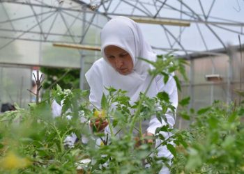 Yıldırım’ın ‘Özel’ anneleri üretiyor