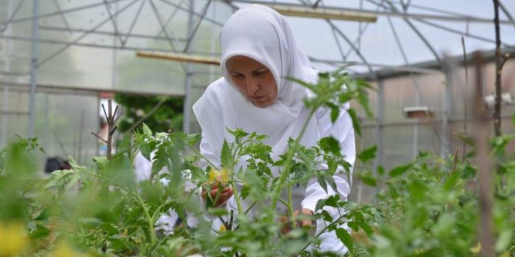 Yıldırım’ın ‘Özel’ anneleri üretiyor