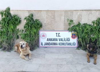 Başkent’te zehir tacirlerine darbe: 6 gözaltı