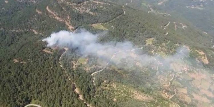 İzmir’de ormanlık alanda yangın