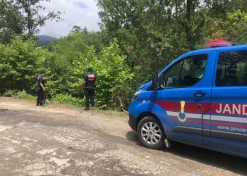 Ortağını öldürdü, ormanlık alana bıraktı