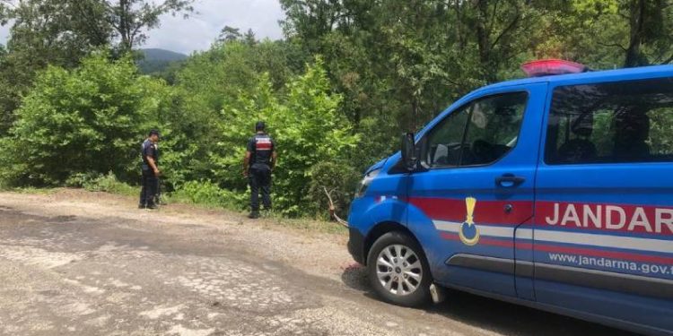 Ortağını öldürdü, ormanlık alana bıraktı