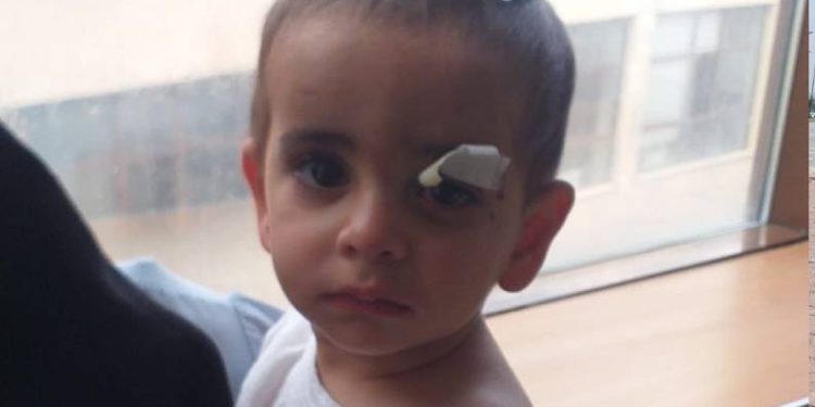 Köpeklerin saldırısına uğrayan çocuk hayatını kaybetti