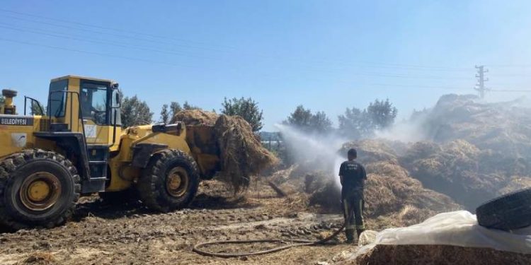 Besihanede 3 bin ot balyası yandı