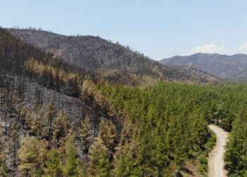 Marmaris’te söndürülen alanlar havadan görüntülendi