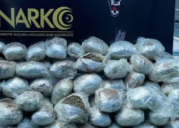 Kahve ile kamufle edilmiş 72 kilo esrar ele geçirildi