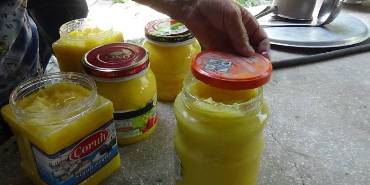 Kars’ta sarı yağ mesaisi başladı