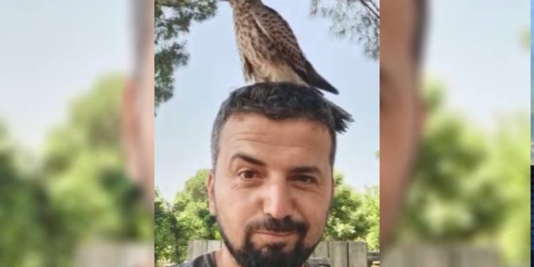 Bursa’da yırtıcı kuşla arkadaş oldu