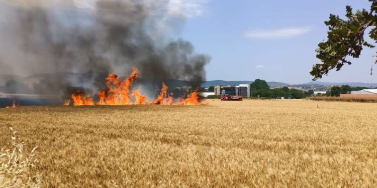 40 dönüm buğday tarlası kül oldu
