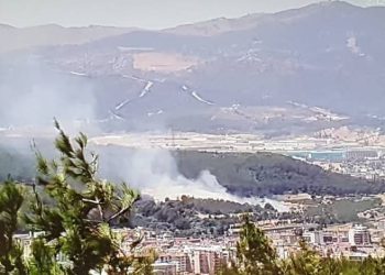 İzmir’de ağaçlık alanda yangın kontrol altında