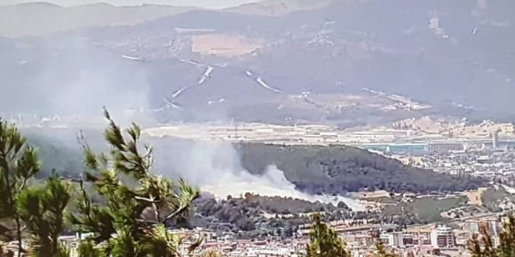 İzmir’de ağaçlık alanda yangın kontrol altında