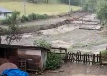 Sele kapılan ev ve mezarlık yok oldu