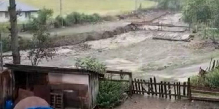 Sele kapılan ev ve mezarlık yok oldu