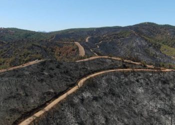 Marmaris yangınının acı tablosu