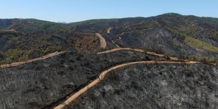 Marmaris yangınının acı tablosu