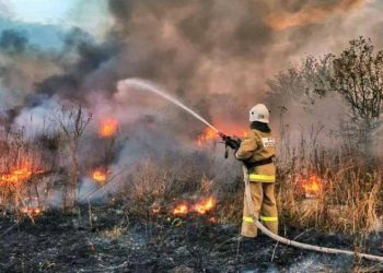 Rusya’da orman yangınlarıyla mücadele sürüyor
