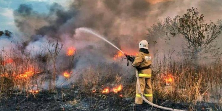 Rusya’da orman yangınlarıyla mücadele sürüyor
