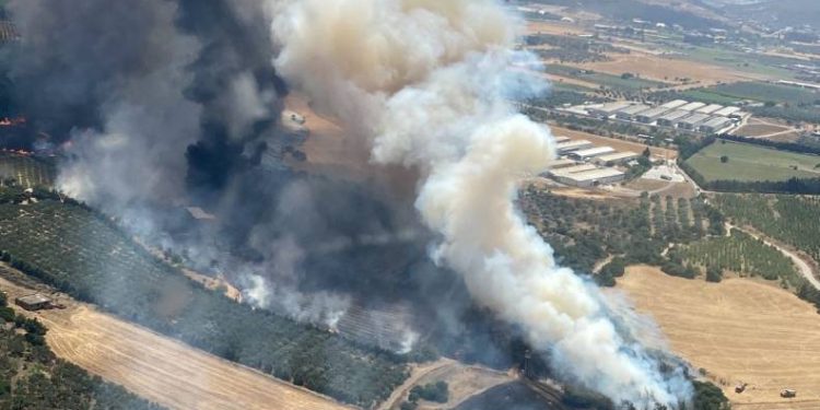 İzmir’de orman yangını