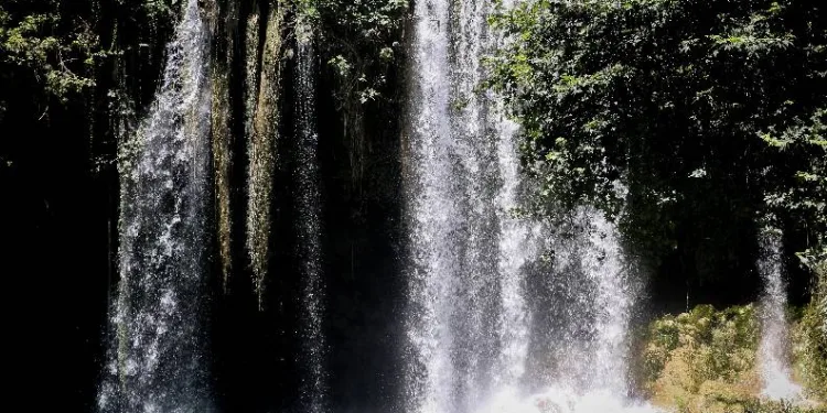 Yarasalar Düden Şelalesi’ne ilaç oldu