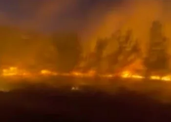 Yunanistan’da 53 noktada orman yangını: 4 köy tahliye edildi