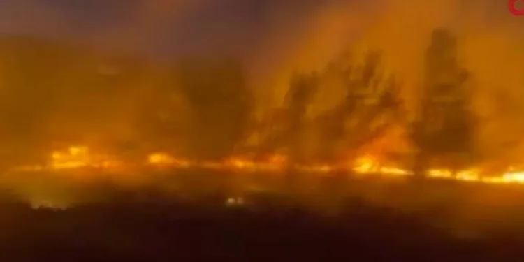 Yunanistan’da 53 noktada orman yangını: 4 köy tahliye edildi