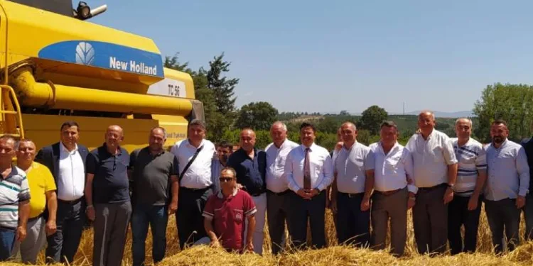 Mudanya’da buğday hasadı başladı