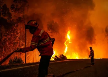Portekiz’de 14 noktada orman yangını