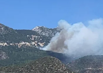 Datça’da orman yangını