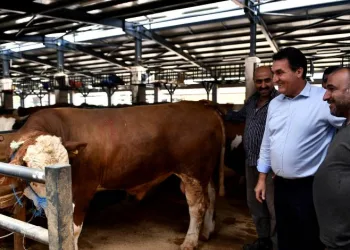 Osmangazi’de modern ve hijyenik kurban pazarları