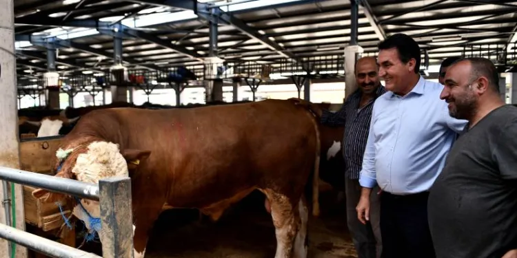 Osmangazi’de modern ve hijyenik kurban pazarları